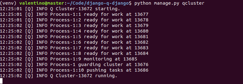 Django Q cluser